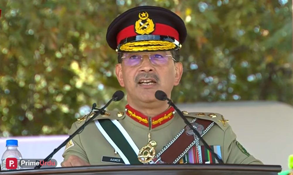 پاکستان کی خودمختاری اور سرحدوں کے تحفظ پر کوئی سمجھوتہ نہیں ہوگا، جنرل سید عامر رضا